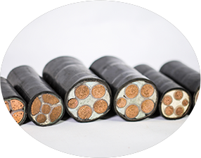 東北大香蕉导航网址 東北大香蕉导航网址