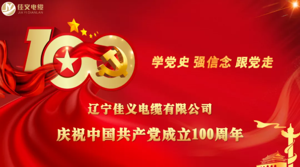 慶祝建黨100周年 慶祝建黨100周年